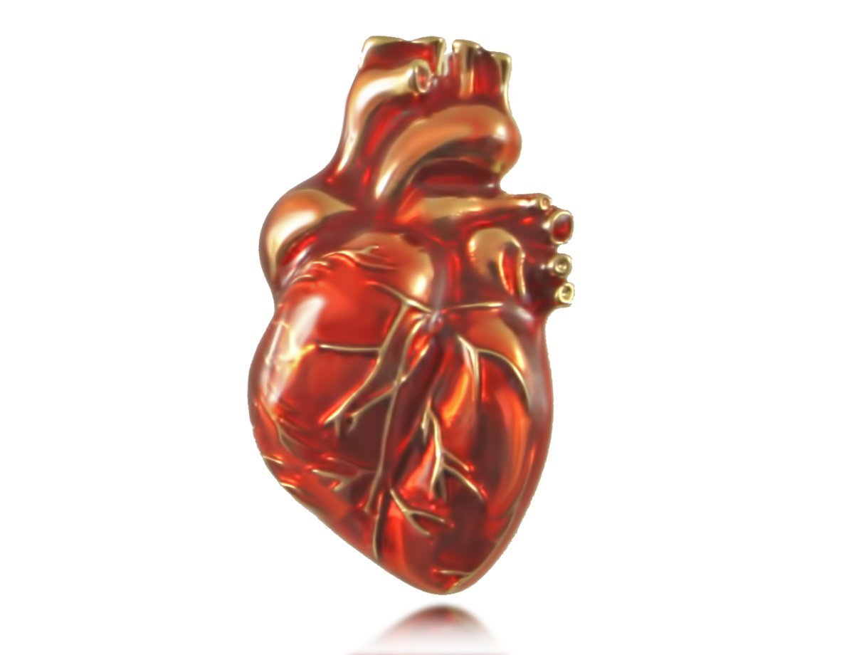 Брошь Сердце человека -  купить в интернет-магазине Белый Барс - фото